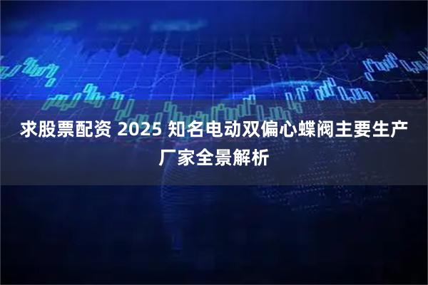 求股票配资 2025 知名电动双偏心蝶阀主要生产厂家全景解析
