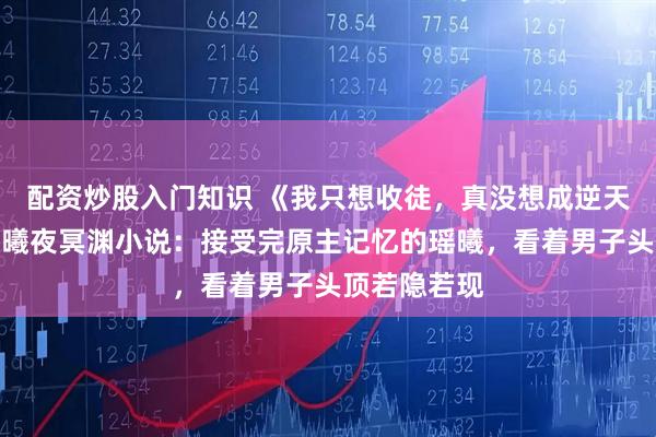 配资炒股入门知识 《我只想收徒，真没想成逆天师尊啊》瑶曦夜冥渊小说：接受完原主记忆的瑶曦，看着男子头顶若隐若现