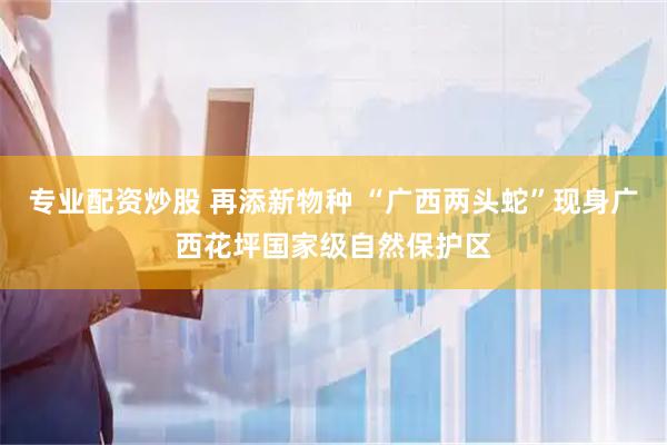 专业配资炒股 再添新物种 “广西两头蛇”现身广西花坪国家级自然保护区