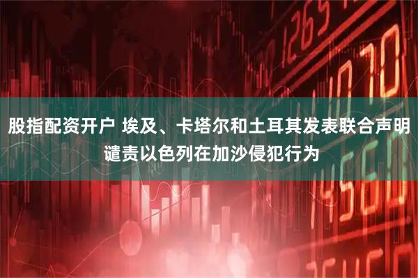 股指配资开户 埃及、卡塔尔和土耳其发表联合声明 谴责以色列在加沙侵犯行为